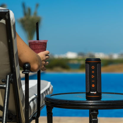 Wingman 2 GPS Speaker